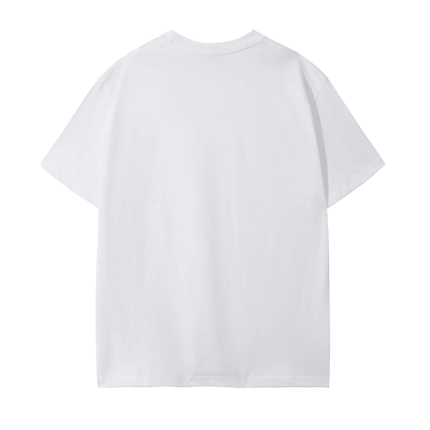 Stop the disrespect T-Shirt